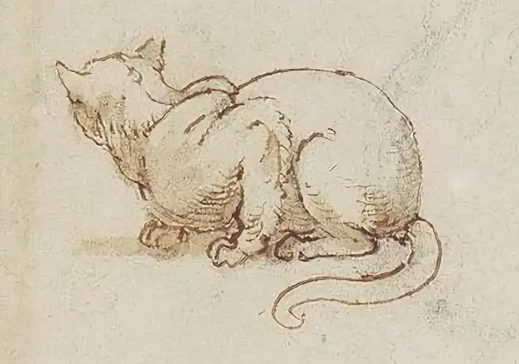 Кот далвинчи. Леонардо да винчи кошки. Принт кошка да винчи. Кот леонардо да винчи. Леонардо да винчи котенок рисунок.